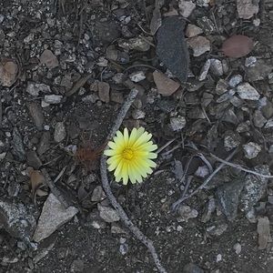 Meet your Posher, Yvonne